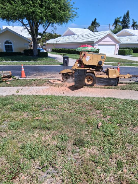 Stump grinding Boynton Beach FL