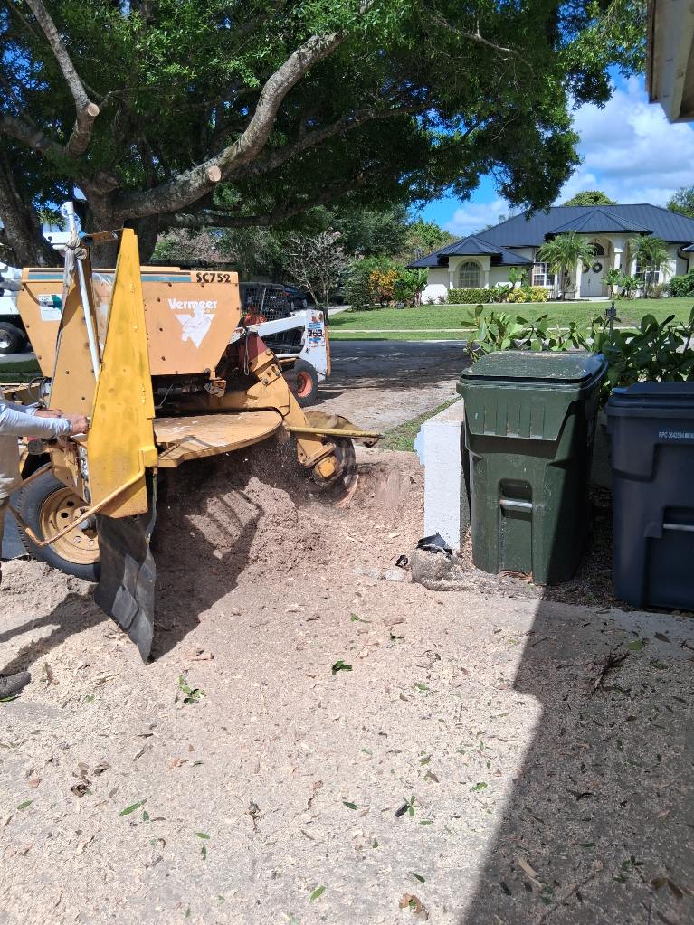 Stump grinding Boynton Beach FL