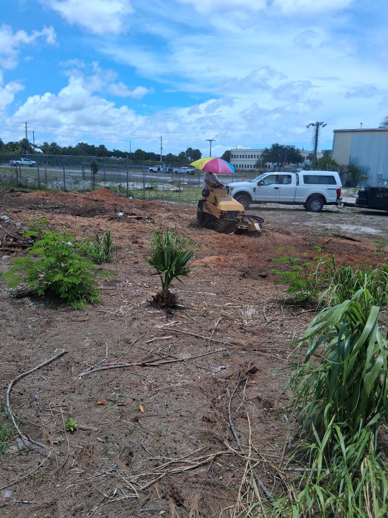 Commercial lot clearing Boynton Beach