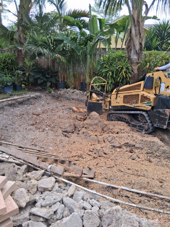 Stump grinding tropical backyard FL