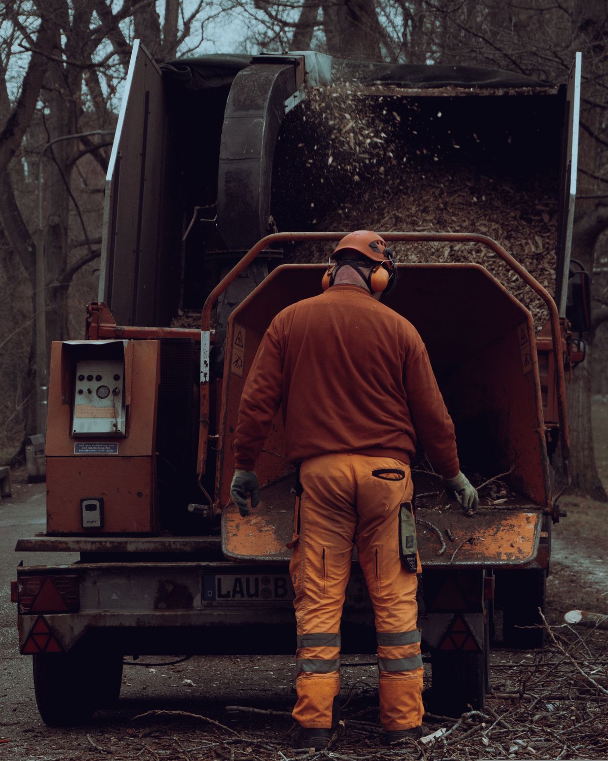 Stump Grinding